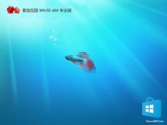 ���ѻ�԰win10����64λ��Я���ٰ�v2026.04